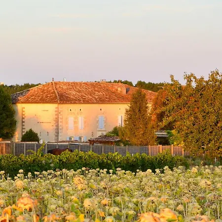 Maison Charmante Avec Jardin A *